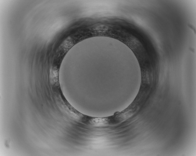 X0000103470526200810100938