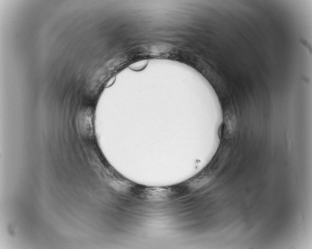 X0000103470527200810100938