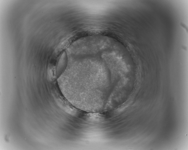 X0000103470528200810100938