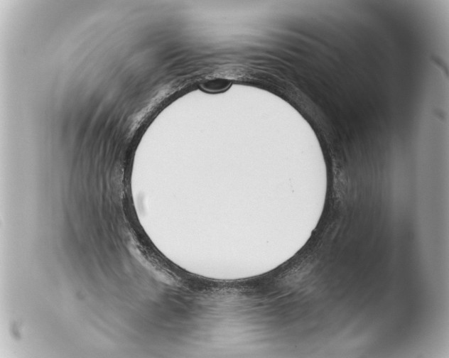 X0000103470530200810100937