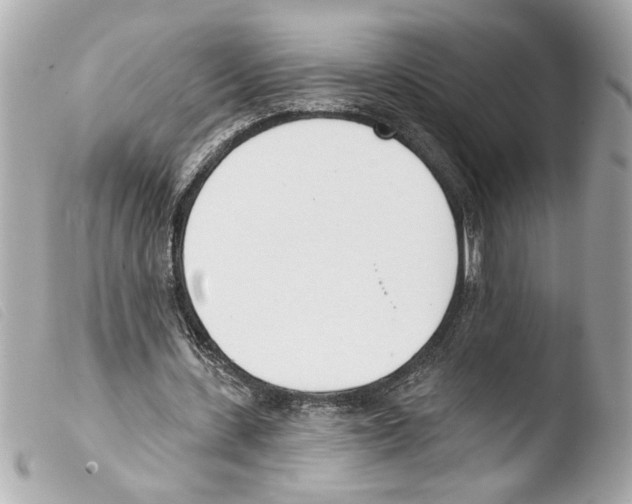 X0000103470531200810100937