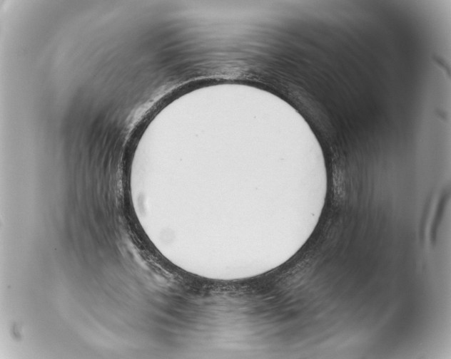 X0000103470532200810100937