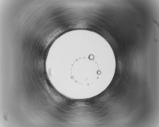 X0000103470534200810100937