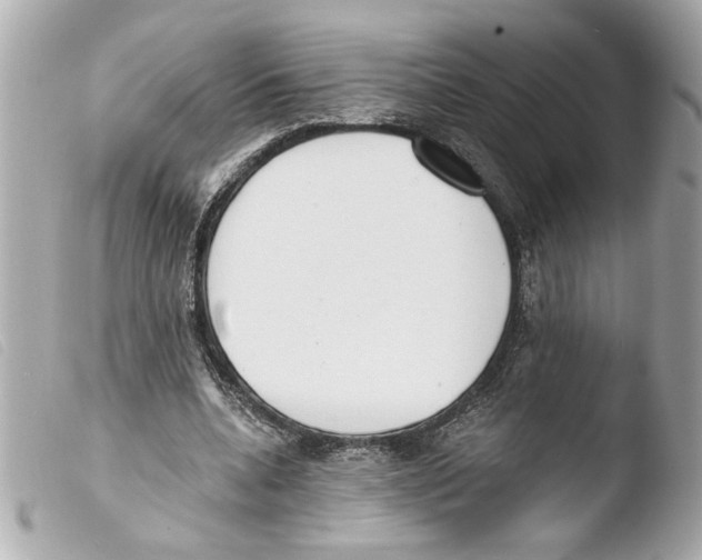 X0000103470536200810100937