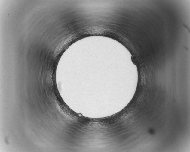 X0000103470538200810100937