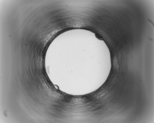 X0000103470540200810100937