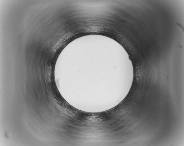 X0000103470544200810100937