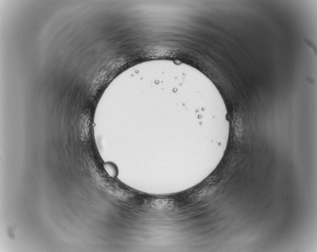 X0000103470546200810100937