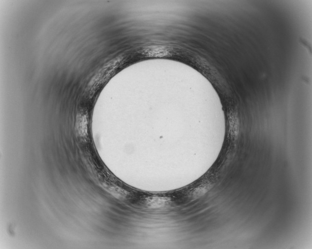 X0000103470549200810100937