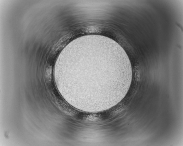 X0000103470550200810100937
