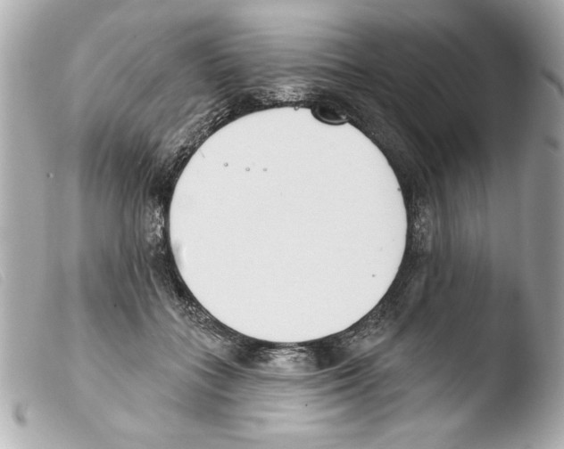 X0000103470555200810100937