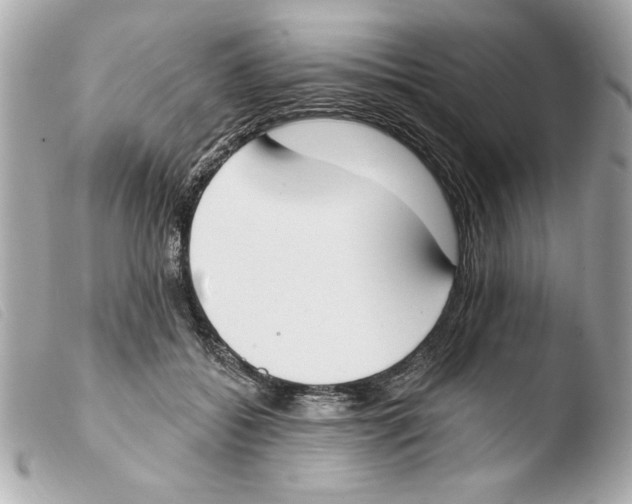 X0000103470556200810100937