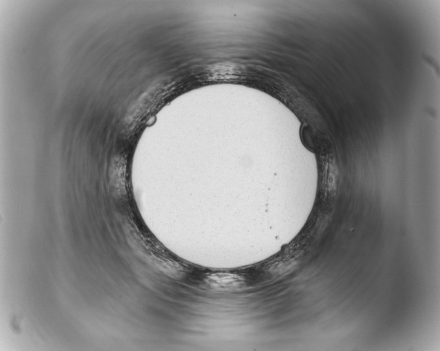 X0000103470557200810100937