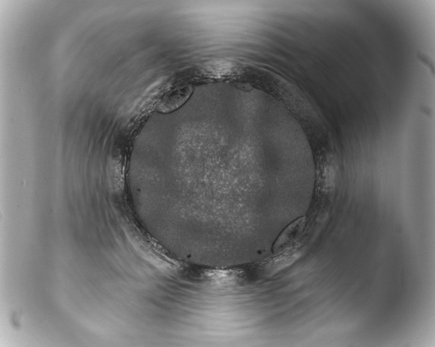 X0000103470558200810100937