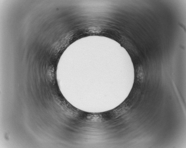 X0000103470559200810100937