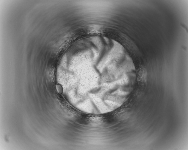 X0000103470560200810100937