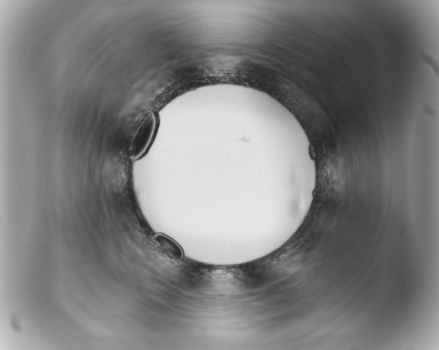 X0000103470566200810100937