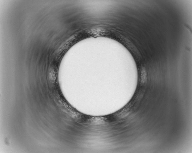 X0000103470569200810100937