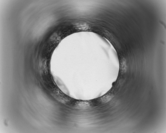 X0000103470572200810100938