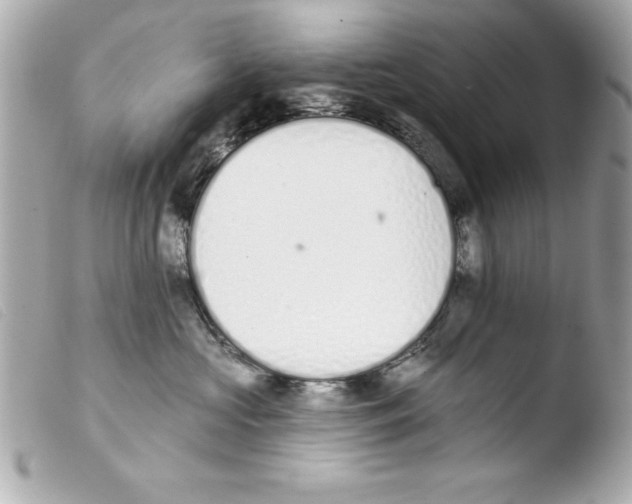 X0000103470573200810100938