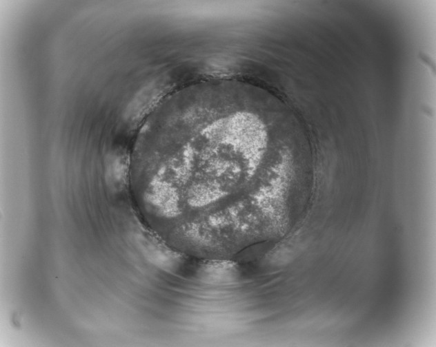 X0000103470576200810100938