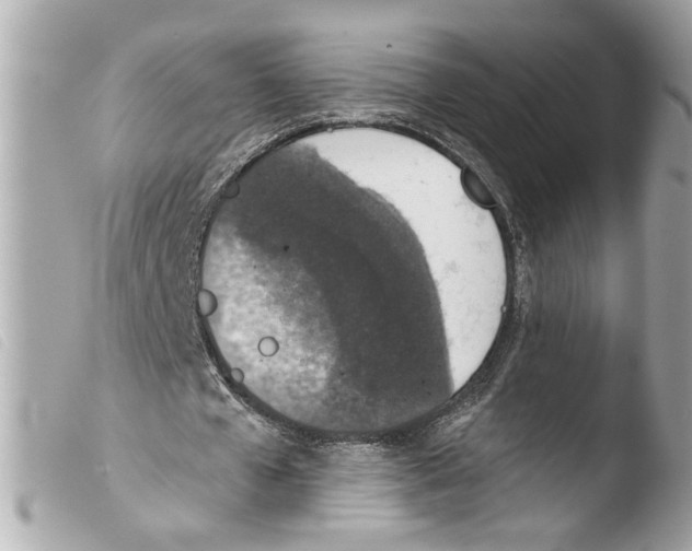 X0000103470577200810100937