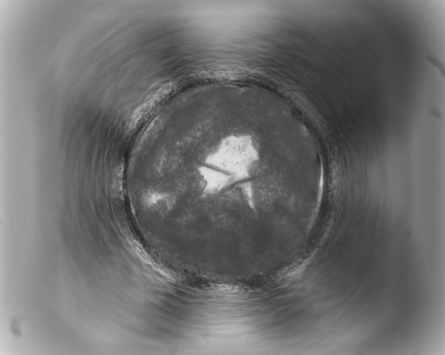 X0000103470585200810100937