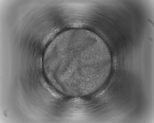X0000103470589200810100937