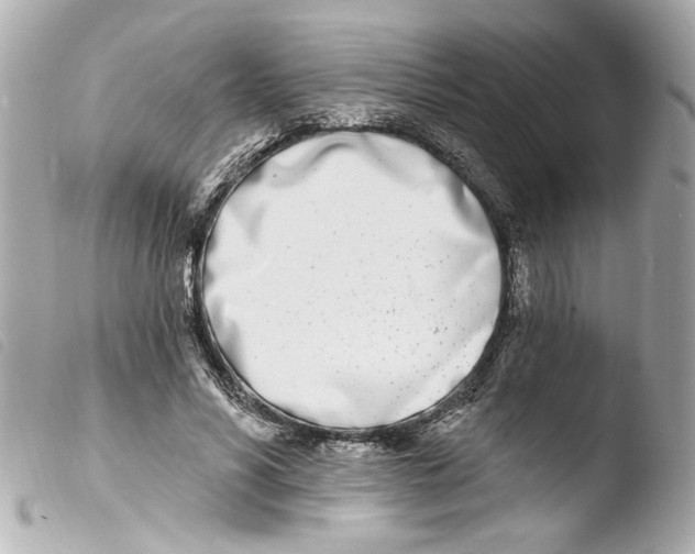 X0000103470590200810100937