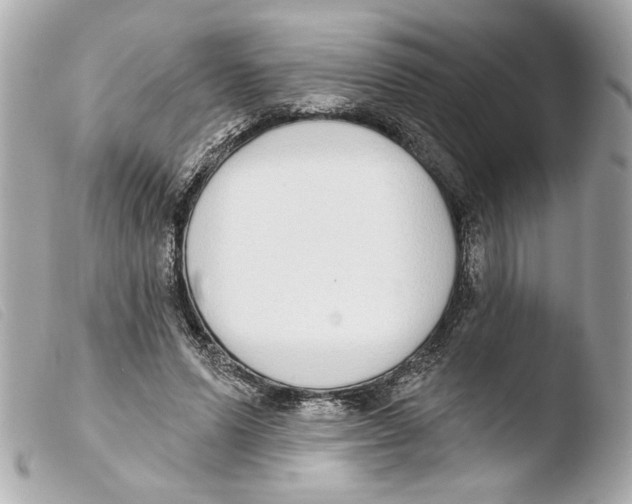 X0000103470591200810100937
