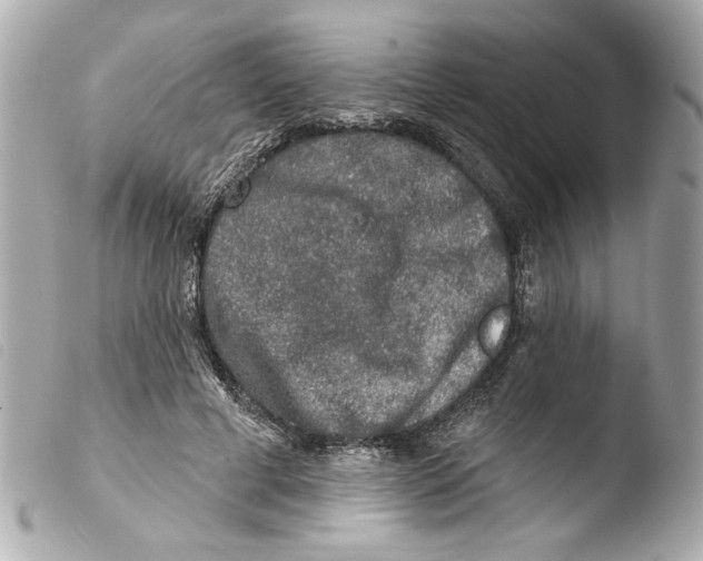 X0000103470593200810100937