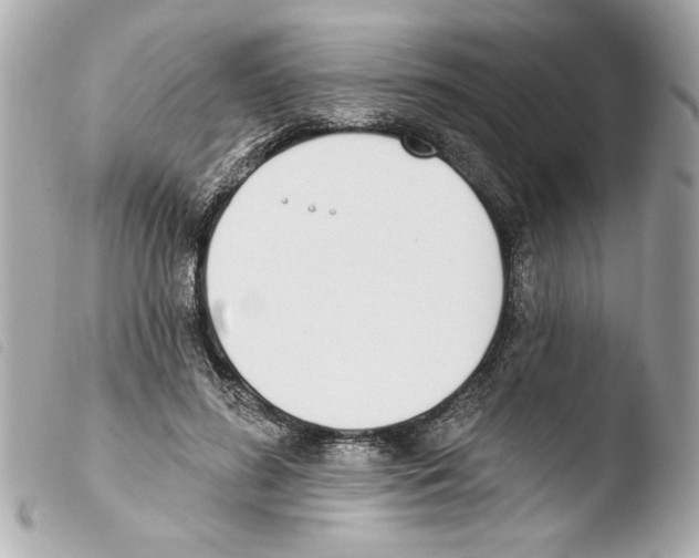 X0000103470596200810100937