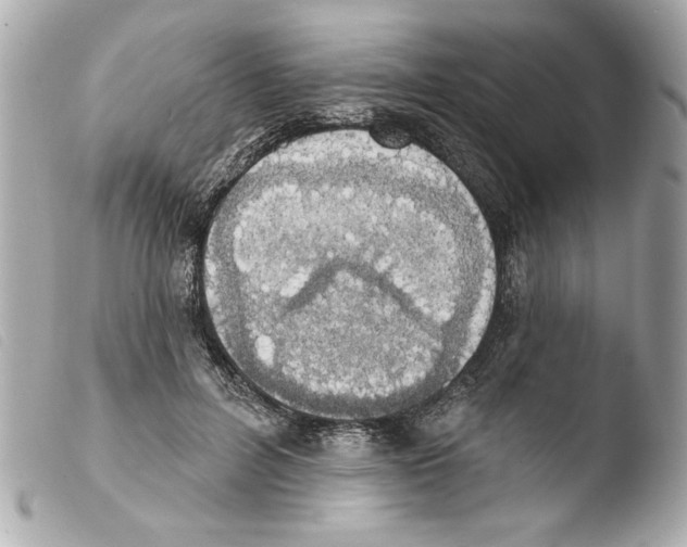 X0000103470600200810100936