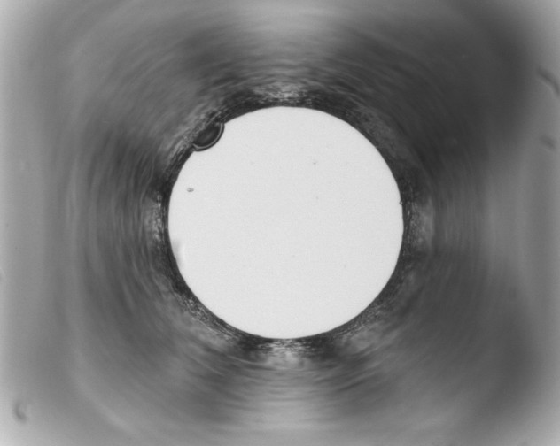X0000103470612200810100936