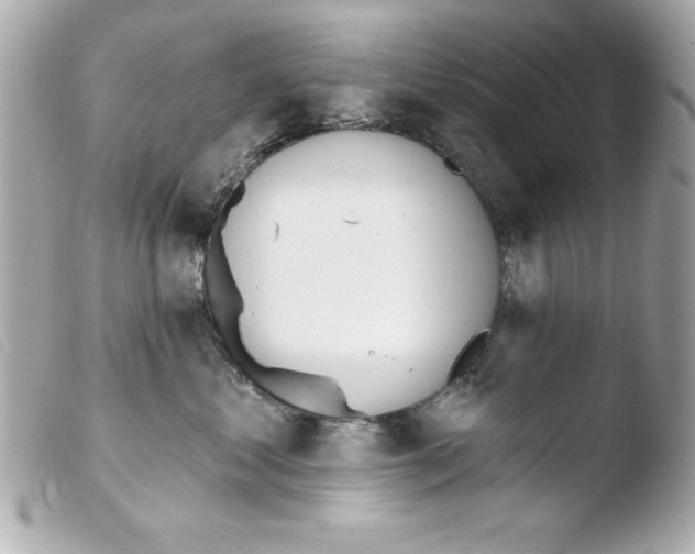 X0000103470621200810100936