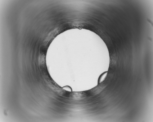 X0000103470623200810100936