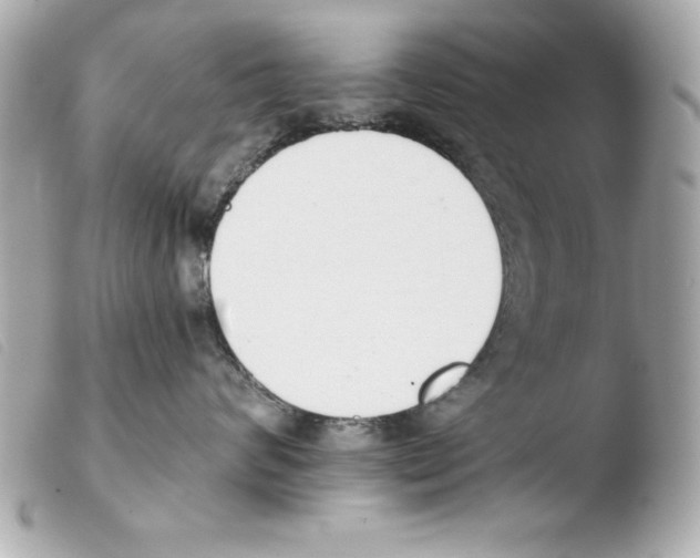 X0000103470624200810100936