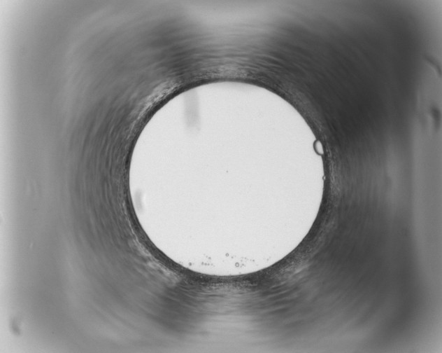 X0000103470625200810100935