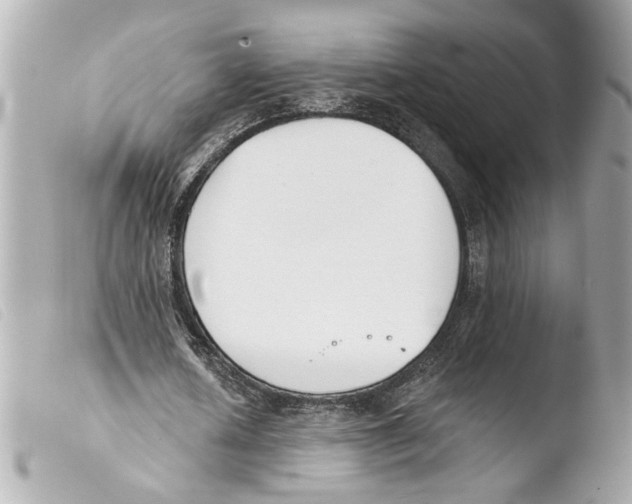 X0000103470626200810100935