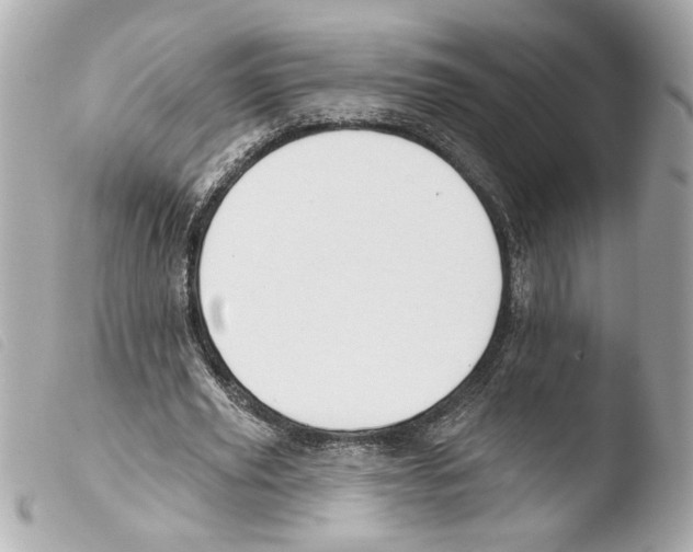X0000103470629200810100936