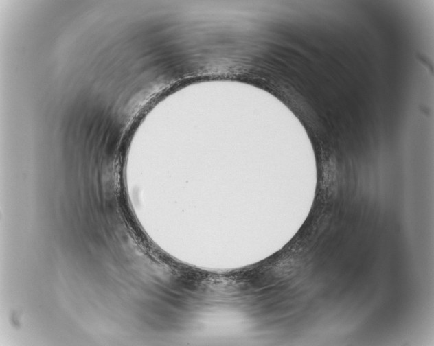 X0000103470632200810100936