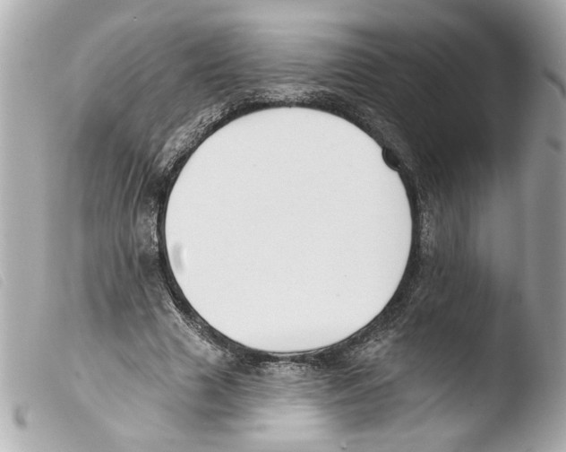 X0000103470633200810100936