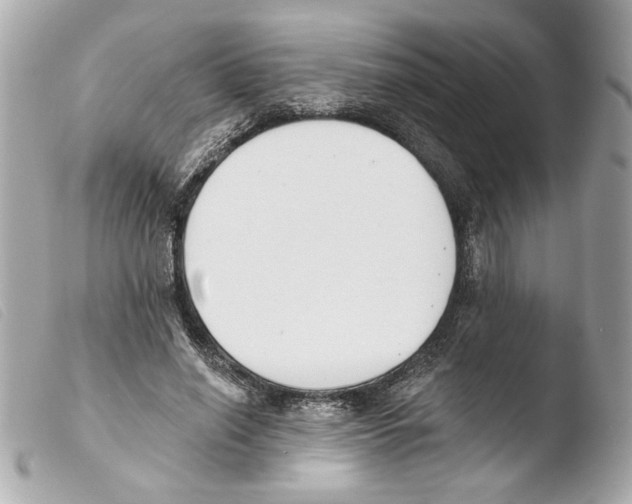 X0000103470638200810100936