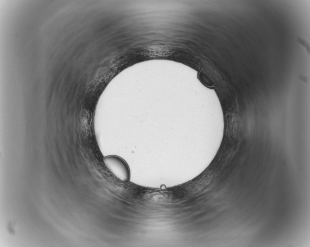 X0000103470655200810100936