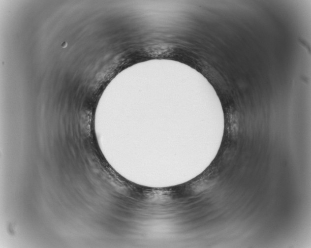 X0000103470664200810100936