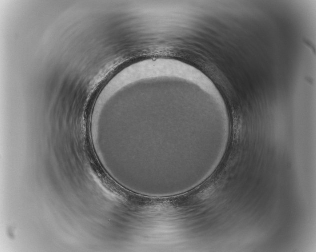 X0000103470674200810100935
