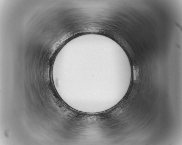 X0000103470675200810100935