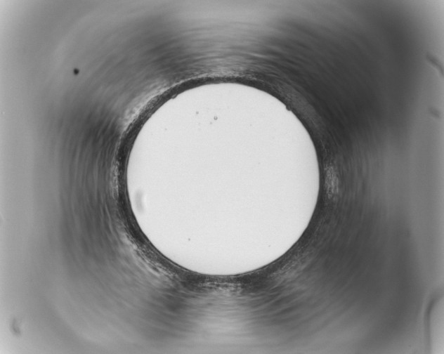 X0000103470676200810100935