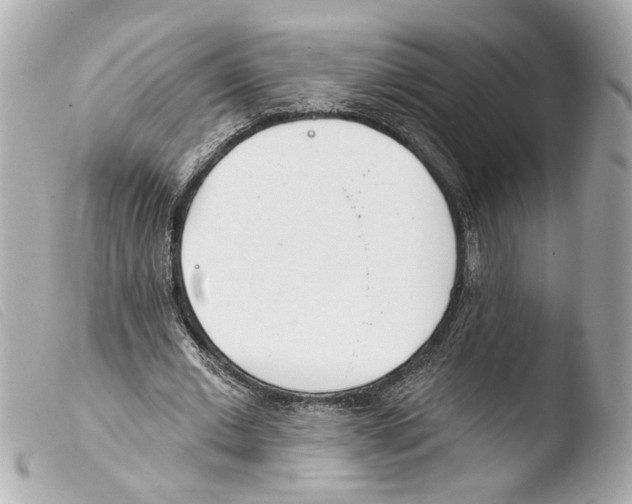 X0000103470677200810100935
