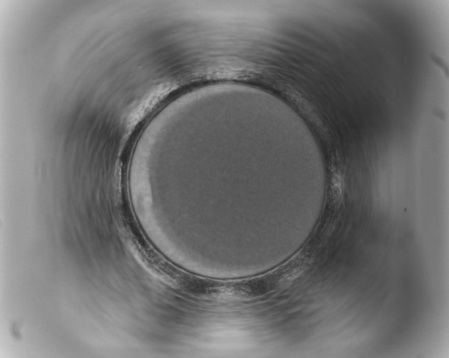 X0000103470678200810100935